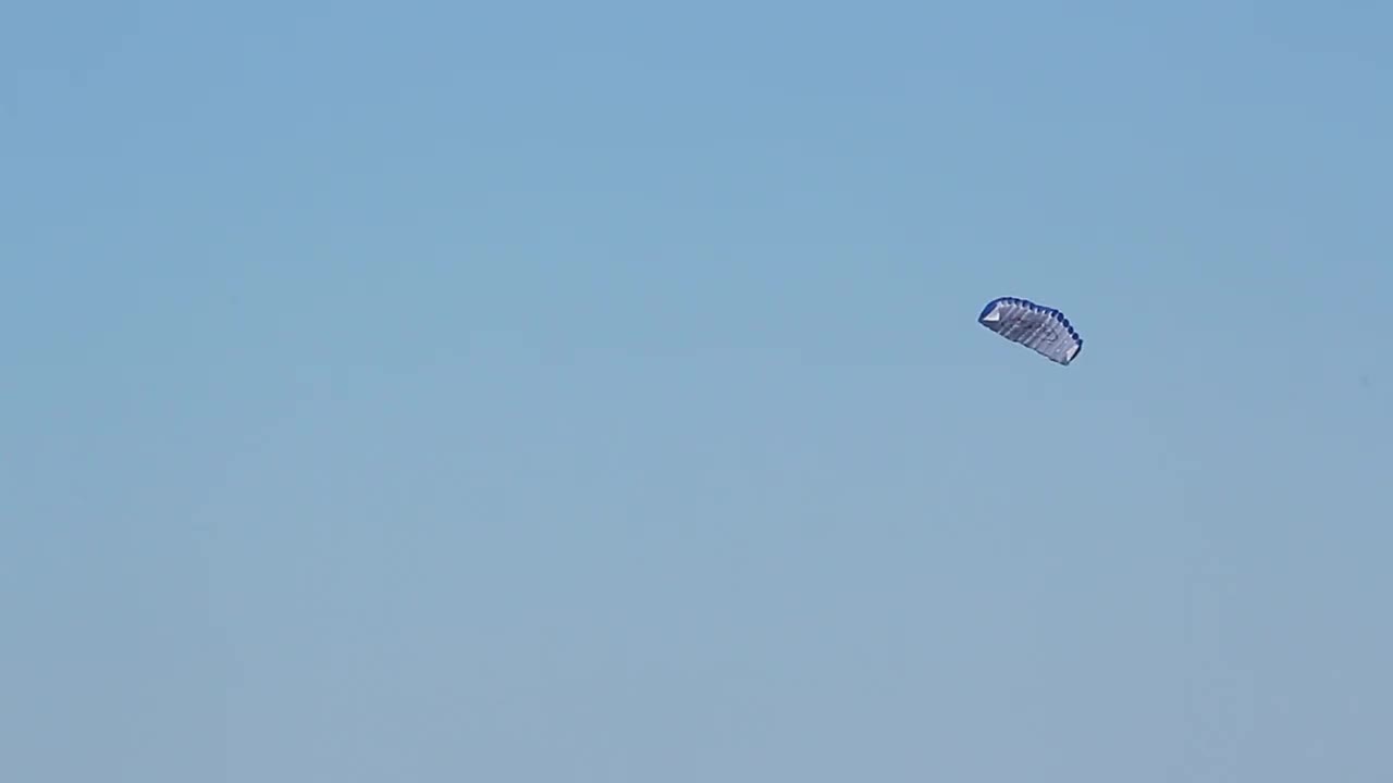 Lenkdrachen Vogel - Doppelleiner für Outdoor & Strand