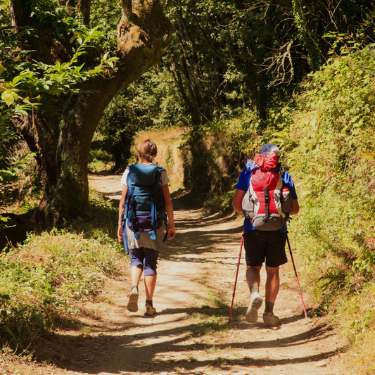 Die schönsten Wanderwege in Deutschland im Frühling
