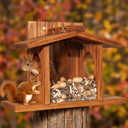 Eichhörnchen Futterhaus Eiche - Nussspender mit Mais- & Apfelhalter
