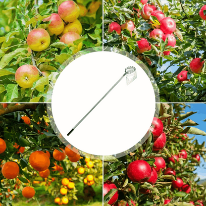 Apfelpflücker mit Teleskopstange 400 cm - Obstpflücker mit 4 Enden