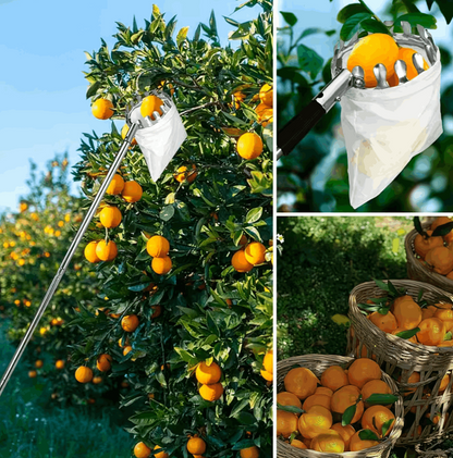 Apfelpflücker mit Teleskopstange 400 cm - Obstpflücker mit 4 Enden