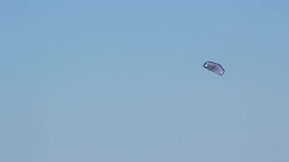 Lenkdrachen Vogel - Doppelleiner für Outdoor & Strand