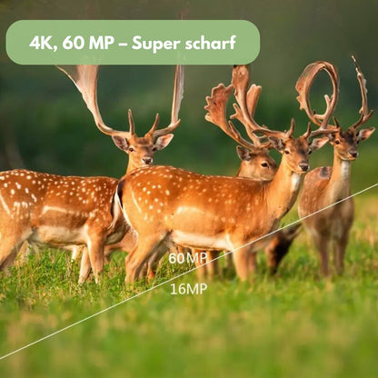OutdoorHaven – Wildkamera – 4K Ultra HD 60 MP – Mit App