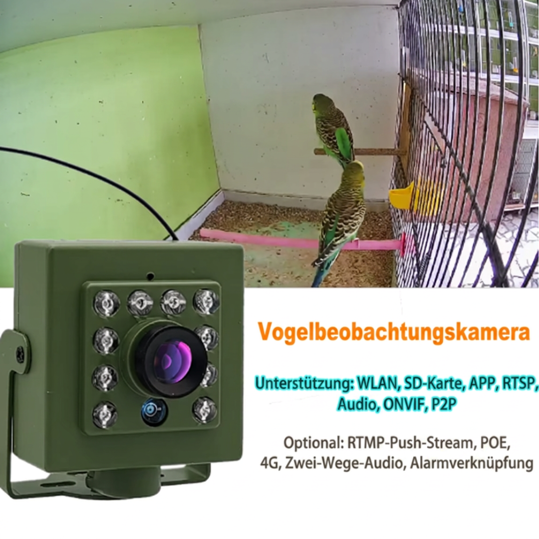 Mini Vogelkamera Nacht – Wildkamera Kompakt – IR LED
