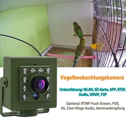 Mini Vogelkamera Nacht – Wildkamera Kompakt – IR LED