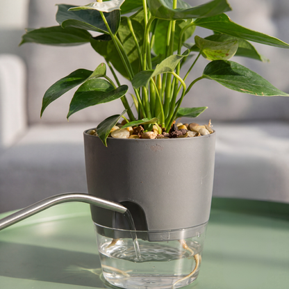 Selbstbewässernder Blumentopf – Hydrokultur – 5er Set