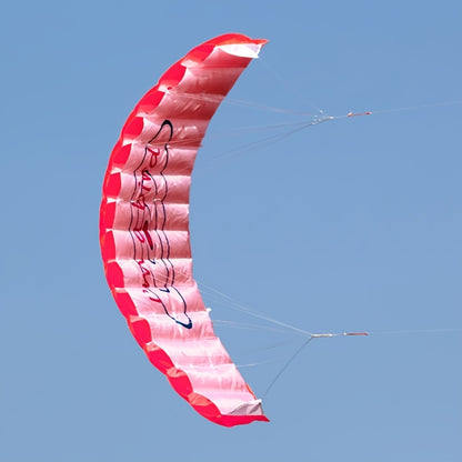 Stunt-Lenkdrachen Set - Parafoil Doppelleiner für Erwachsene