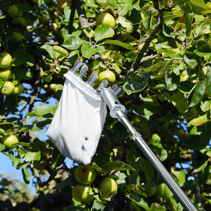 Apfelpflücker mit Teleskopstange 400 cm - Obstpflücker mit 4 Enden